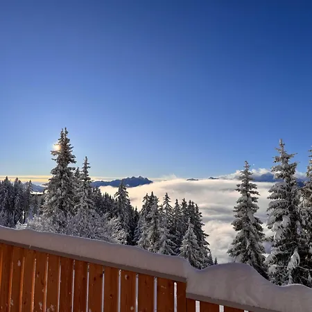 Glockneralm - Only Accessible By Lift Zell am See